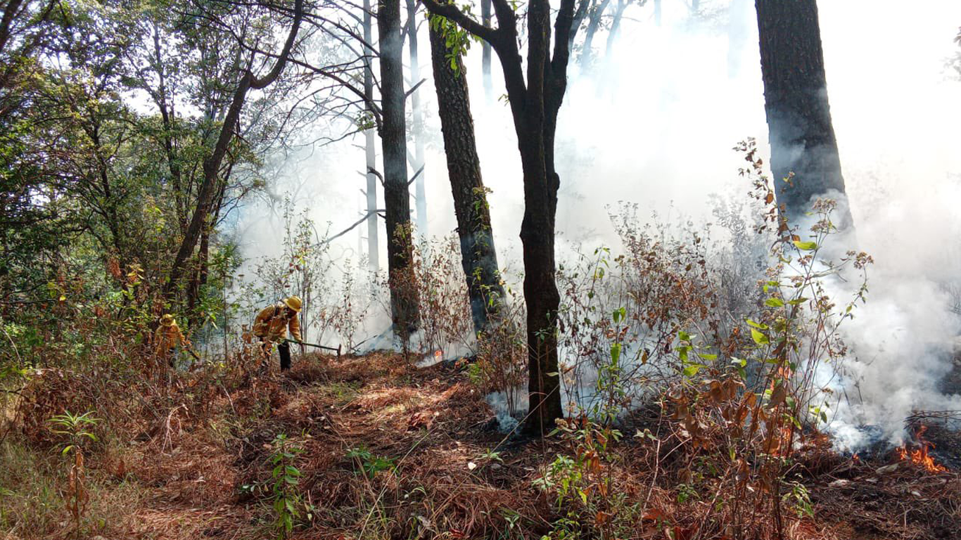 Incendios forestales consumen 5.3 hectáreas este sábado en Morelos: SDS