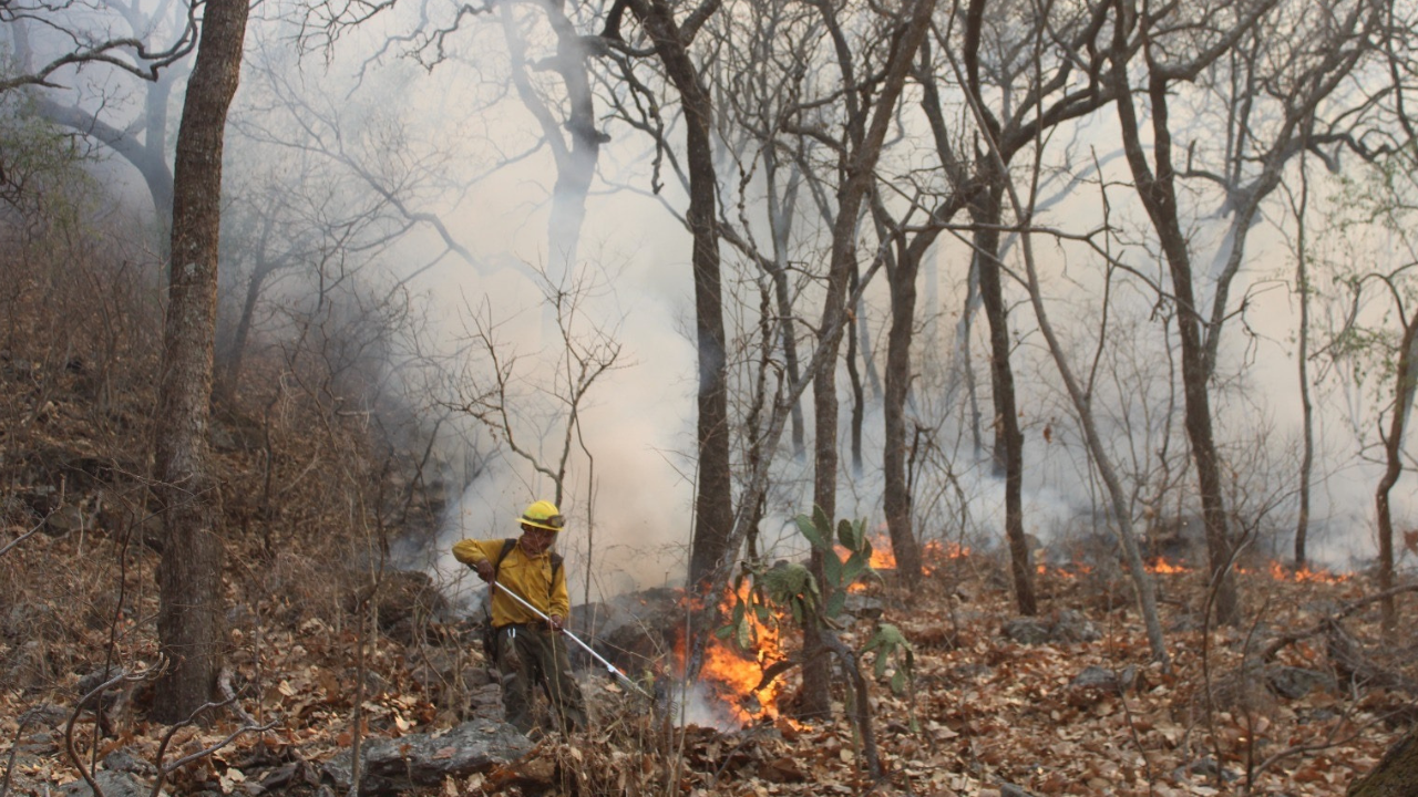 incendio puente de ixtla tilzapotla 