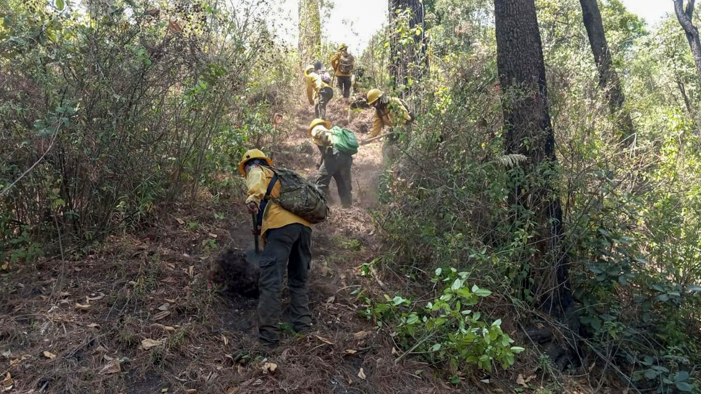 Disminuyen incendios forestales en Morelos: SDS