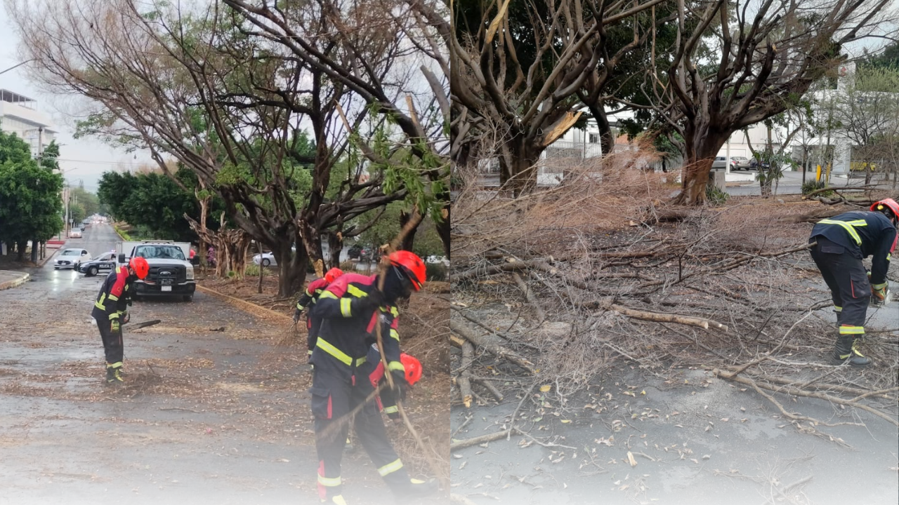 lluvias morelos estragos