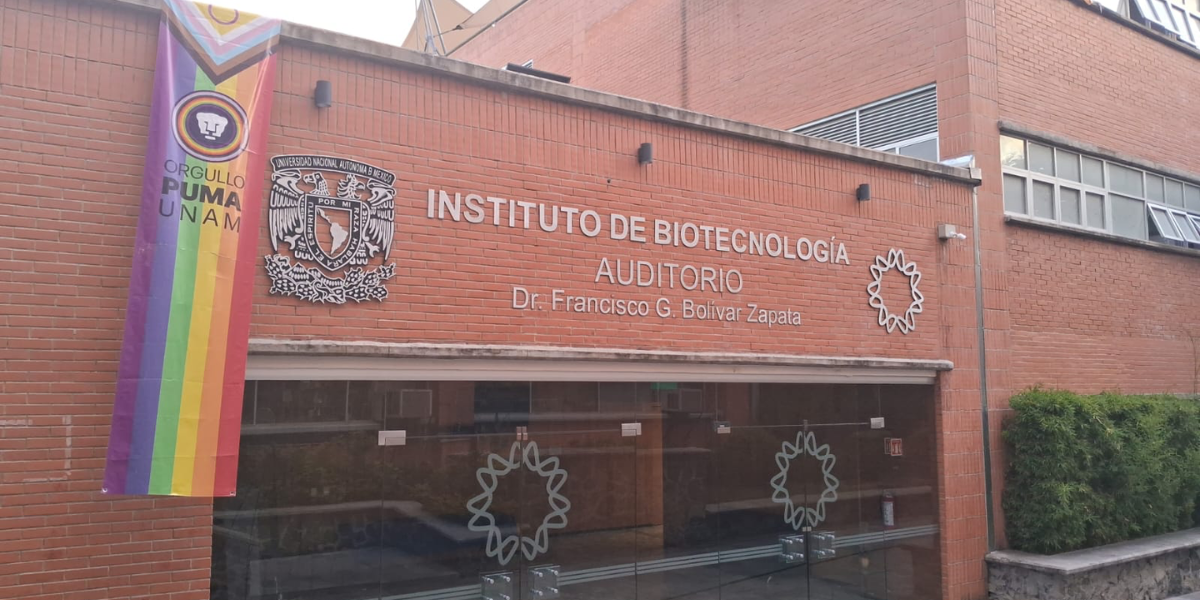 Buscan hacer conciencia social sobre un ambiente libre de discriminación. 