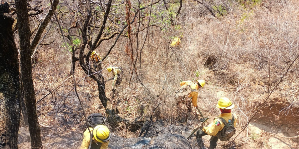 En las últimas semanas no se han reportado incendios forestales. 
