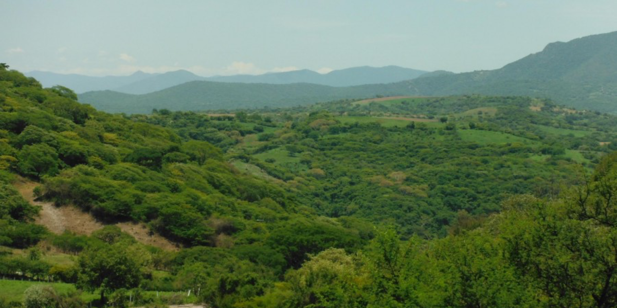 Reserva de la Biósfera de La Sierra de Huautla hace 20 años.