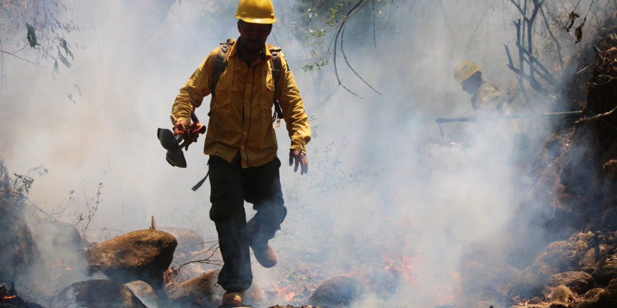 El Mando Unificado combatió el incendio con 63 brigadistas. 