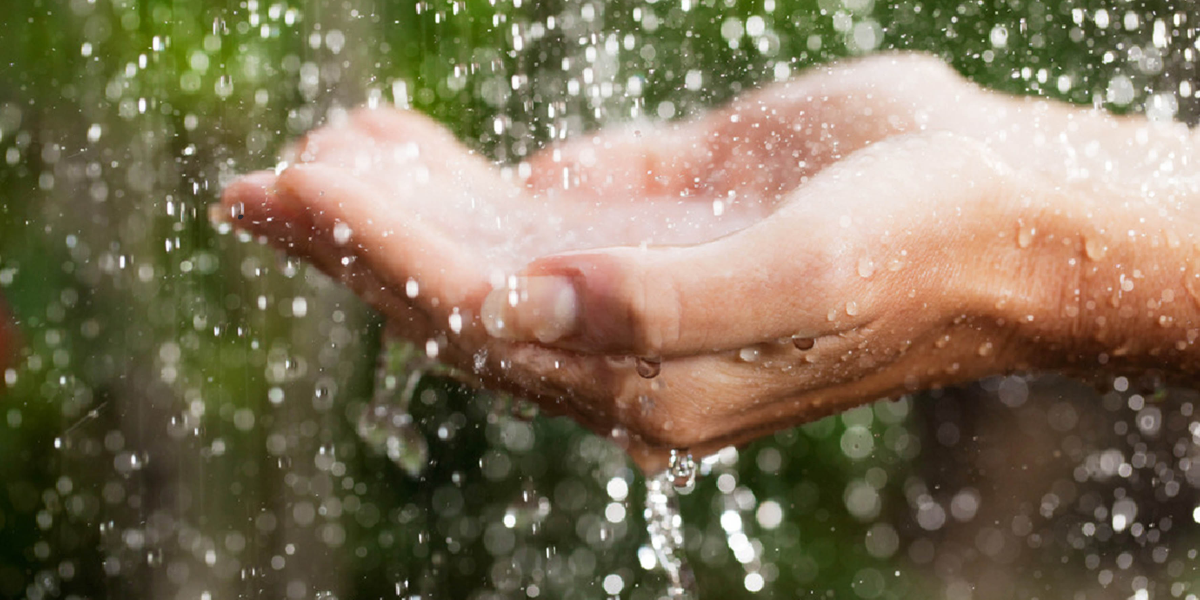 El agua de lluvia resulta dañina para el organismo.