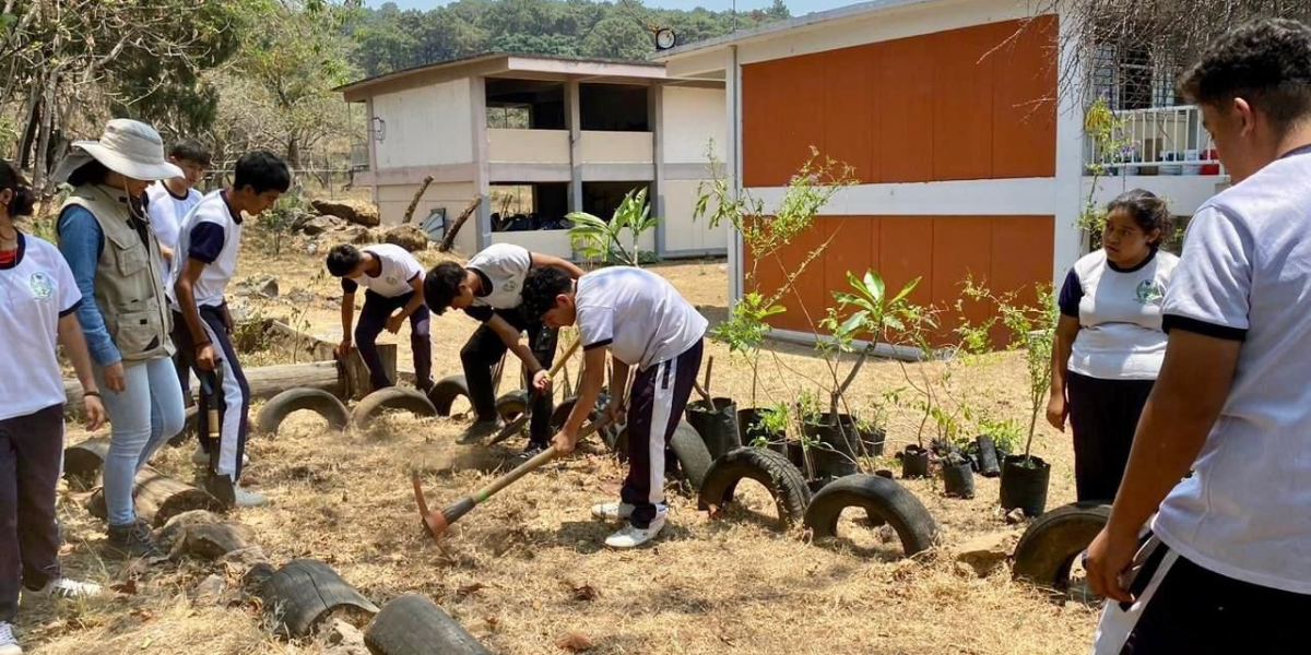 El 5 de junio se celebra el Día Mundial del Medio Ambiente.