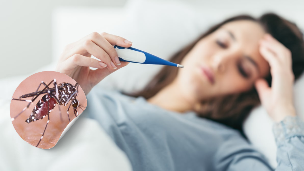 dengue temporada de lluvias enfermedad 