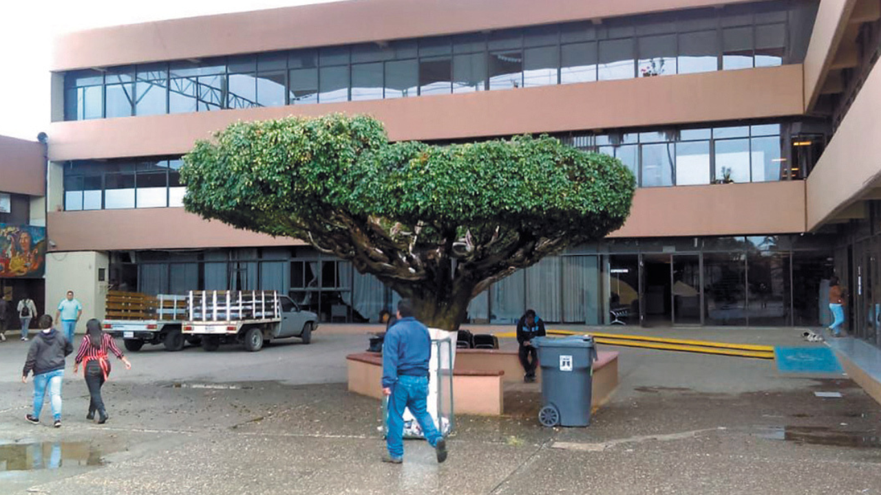 extorsion a maestros iebem