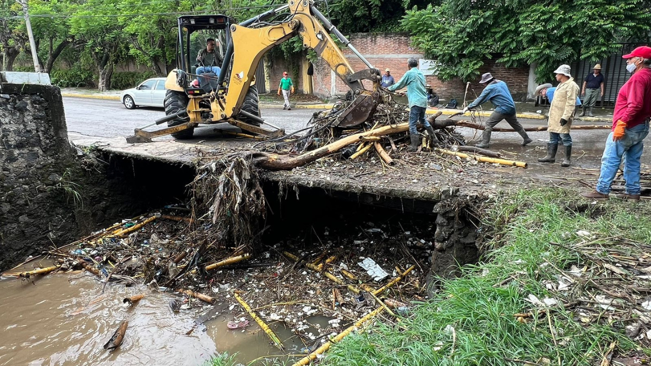 barranca la gachupina jiutepec vaca