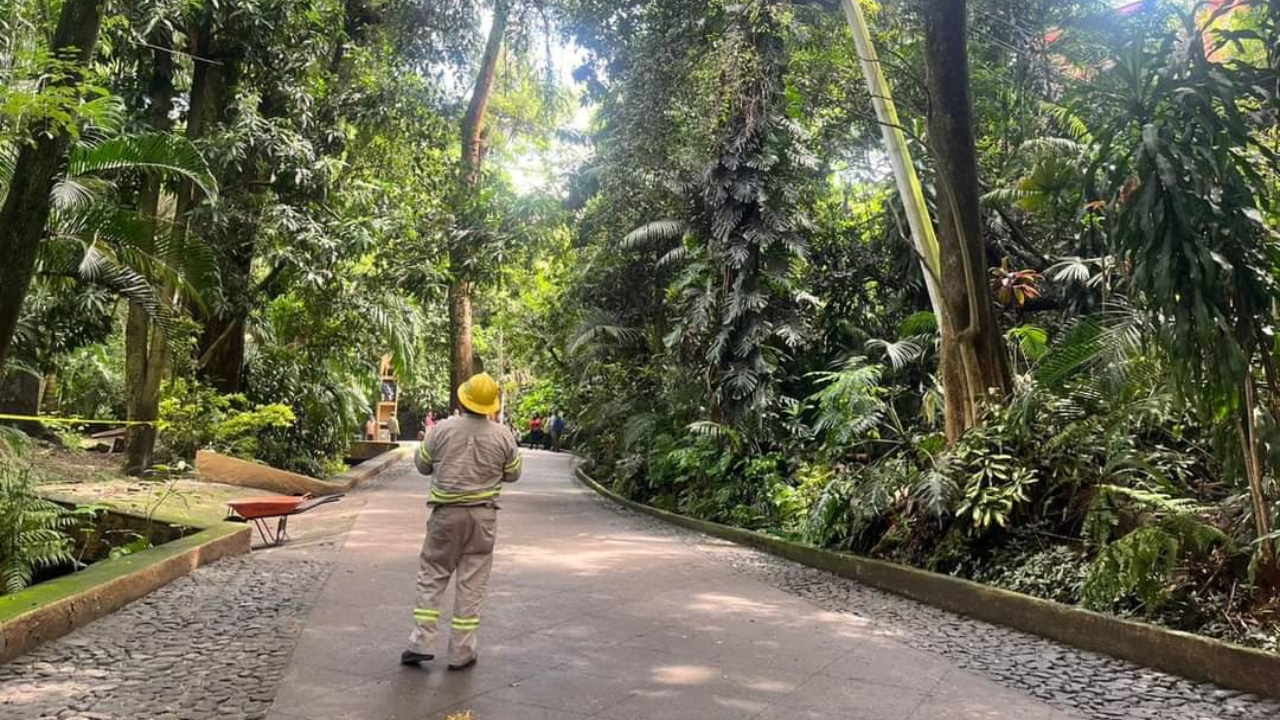 Corto circuito en el Parque Chapultepec
