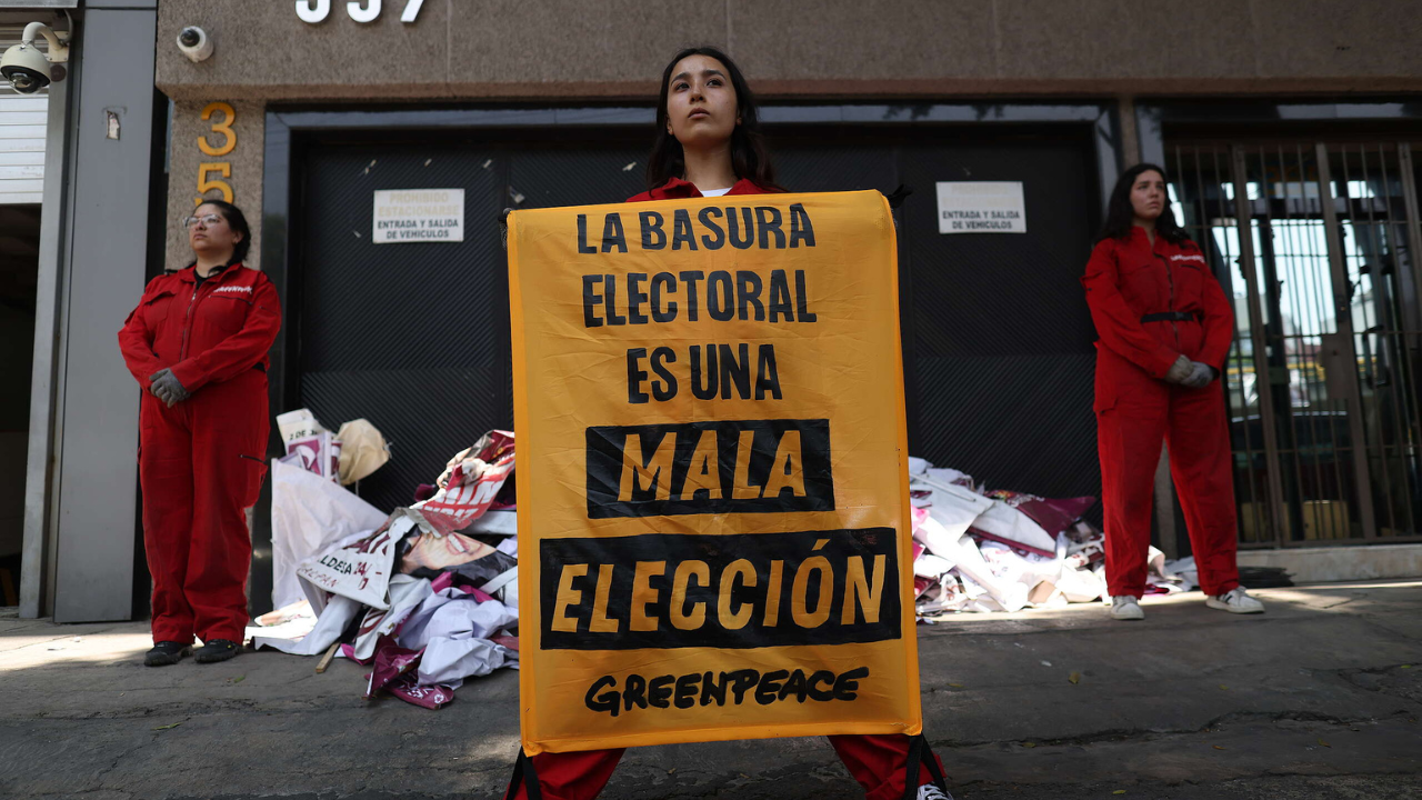 basura electoral elecciones mexico greenpeace