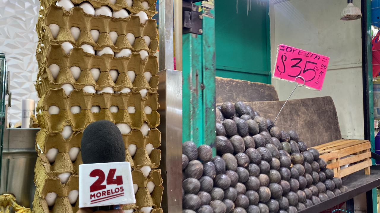 cuernavaca productos