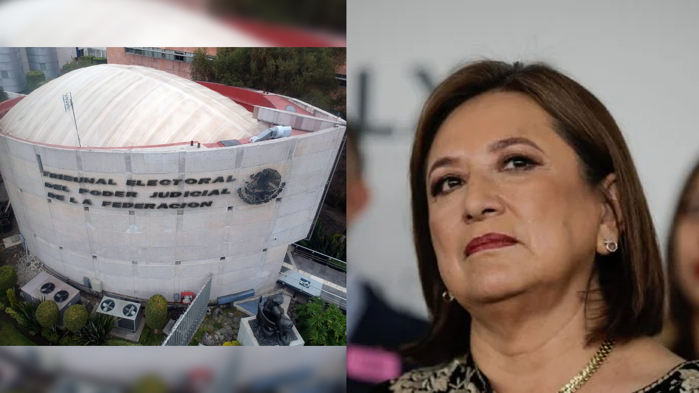 Tribunal electoral validará resultados de elección presidencial