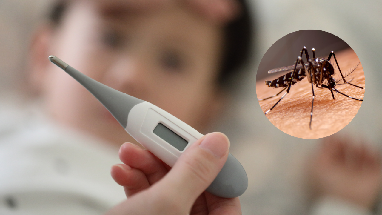 dengue menores hnm morelos