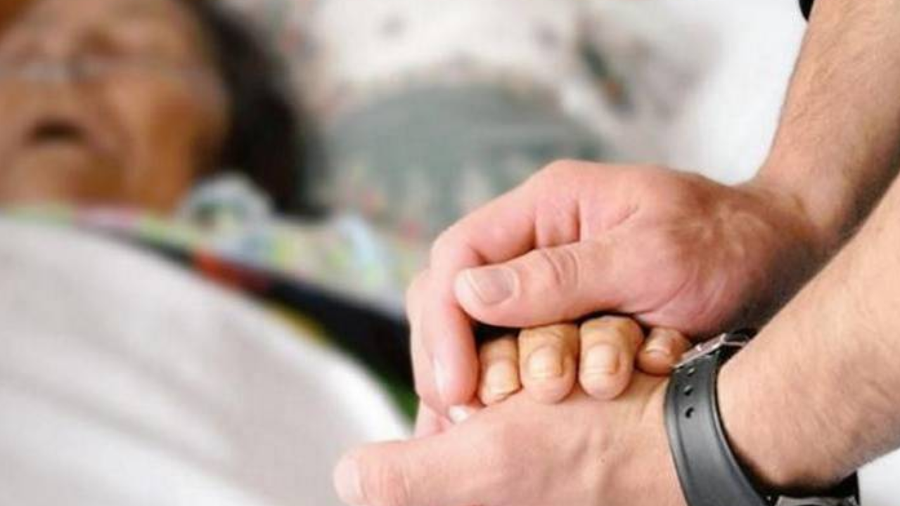 ley de voluntad anticipada morelos