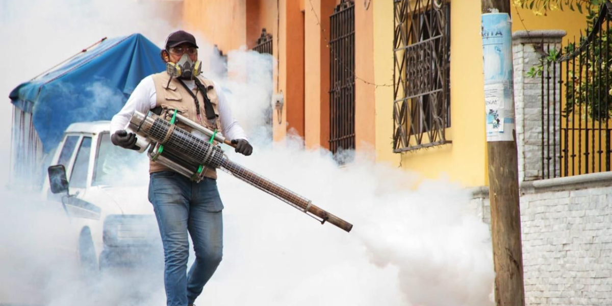 El dengue se combate por medio de diversas estrategias. 