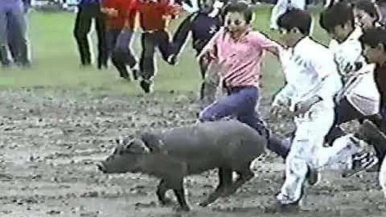 Hueyapan atendió petición de animalistas y ya no encebarán cerditos