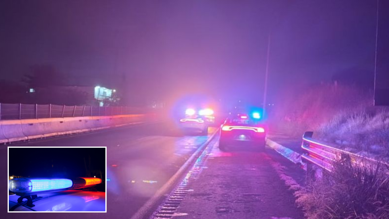 burgos temixco cuernavaca 