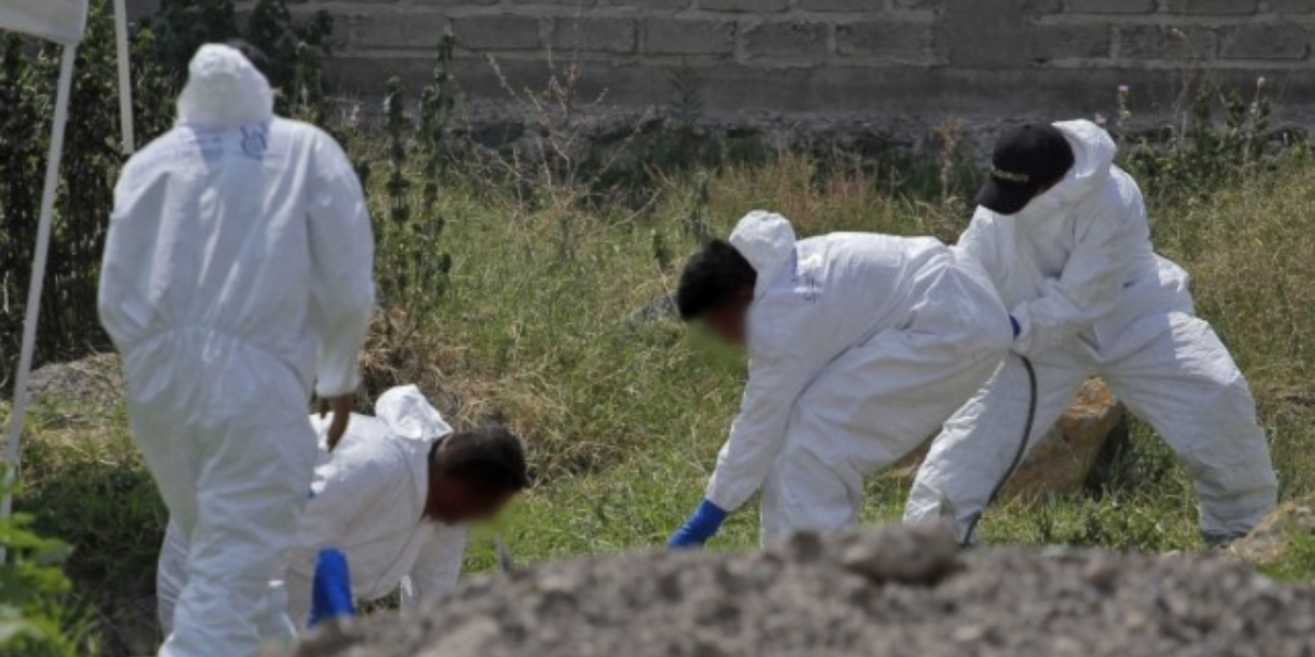 Los servicios periciales tienen una alta de demanda de trabajo. 