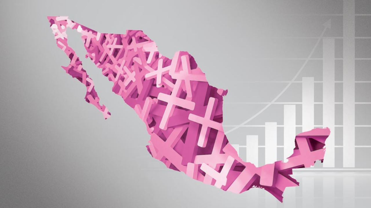 Más de 500 mujeres fueron privadas de la vida en el anterior sexenio: activista