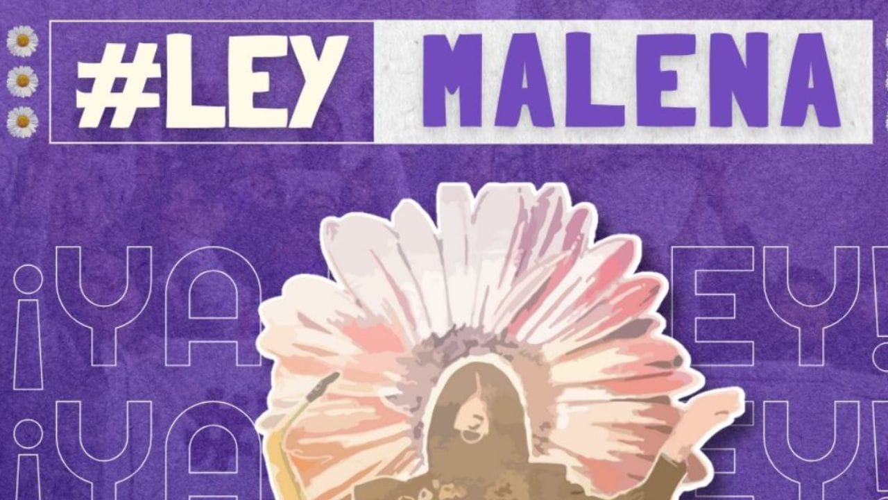 Ley Malena.
