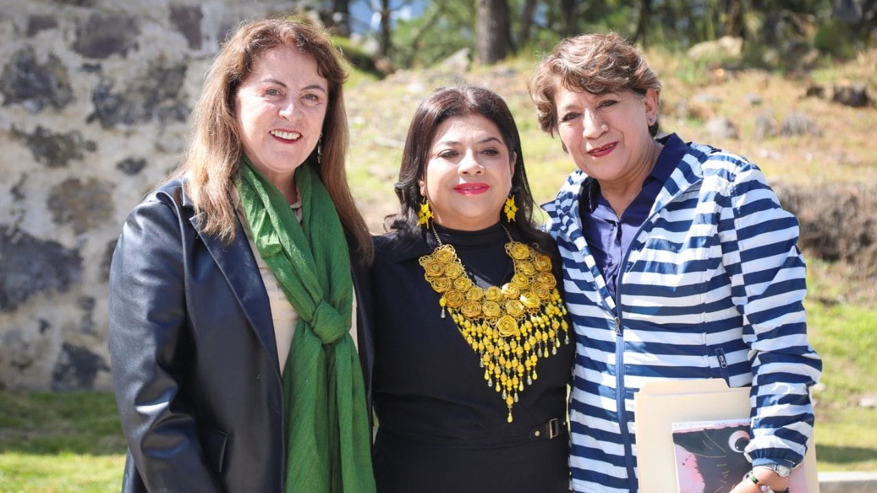 Gobernadoras se unen para combatir la tala clandestina.