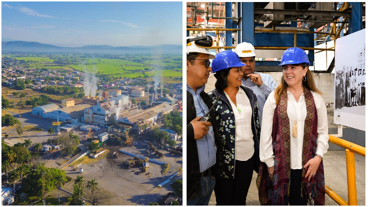 margarita gonzalez saravia zafra zacatepec 