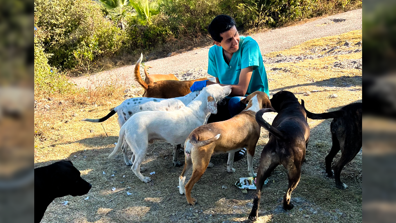 Impulsan acciones para proteger fauna en la Sierra de Montenegro