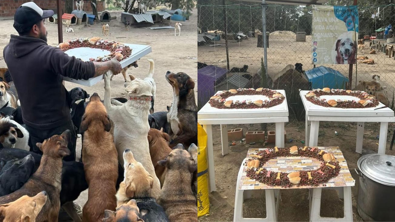 Más de 100 lomitos rescatados comparten una “Perrirosca”