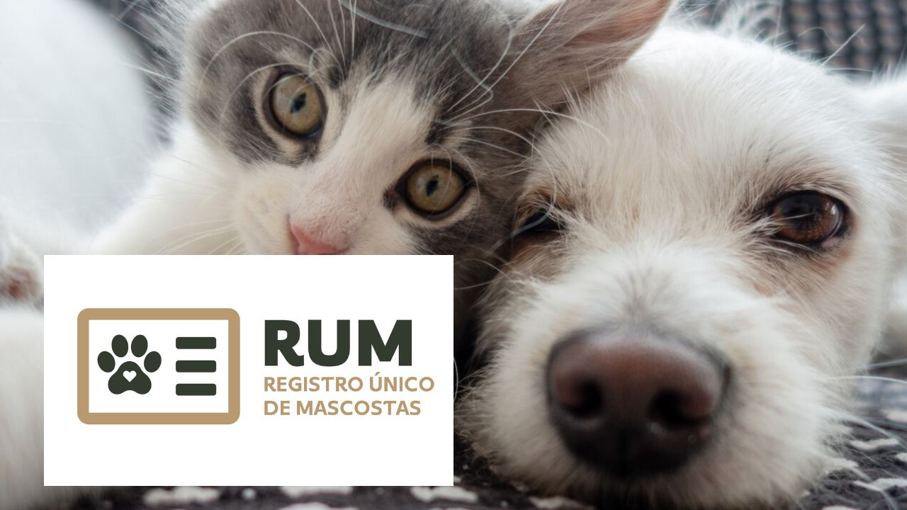 RUM para mascotas en Morelos.