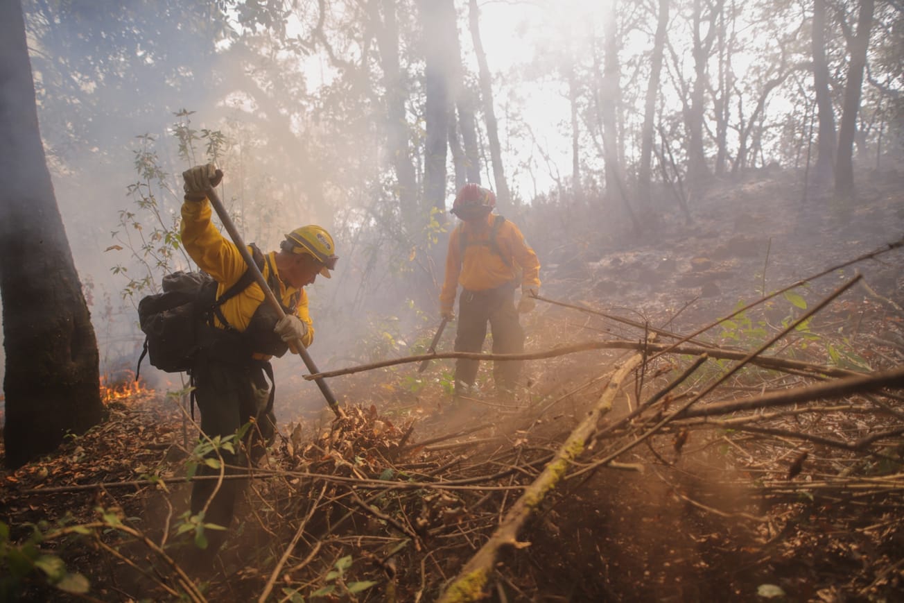 Incendios en Tepoztlán dañan más de mil 600 hectáreas