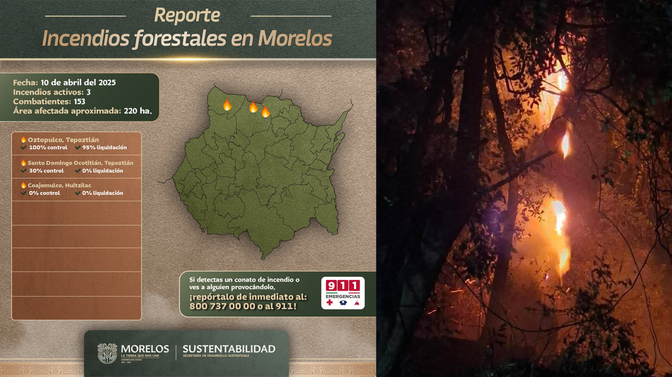 Morelos enfrenta tres incendios forestales activos esta noche: SDS