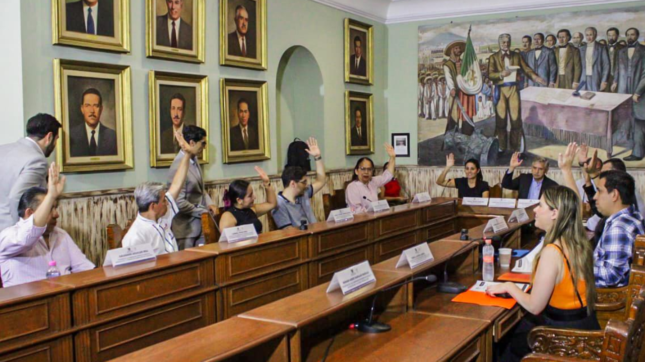 reglamento del SIPINNA