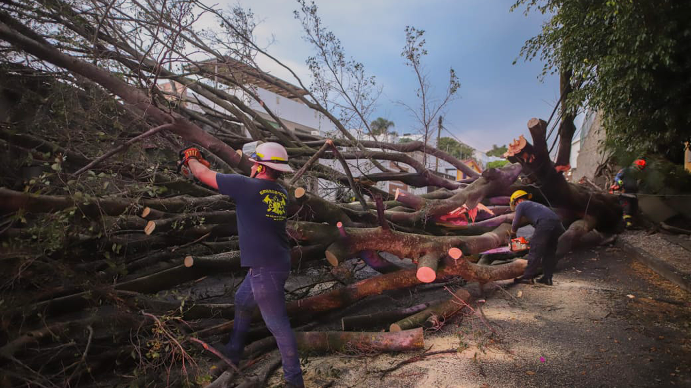 Protección Civil Morelos reporta daños por lluvias recientes