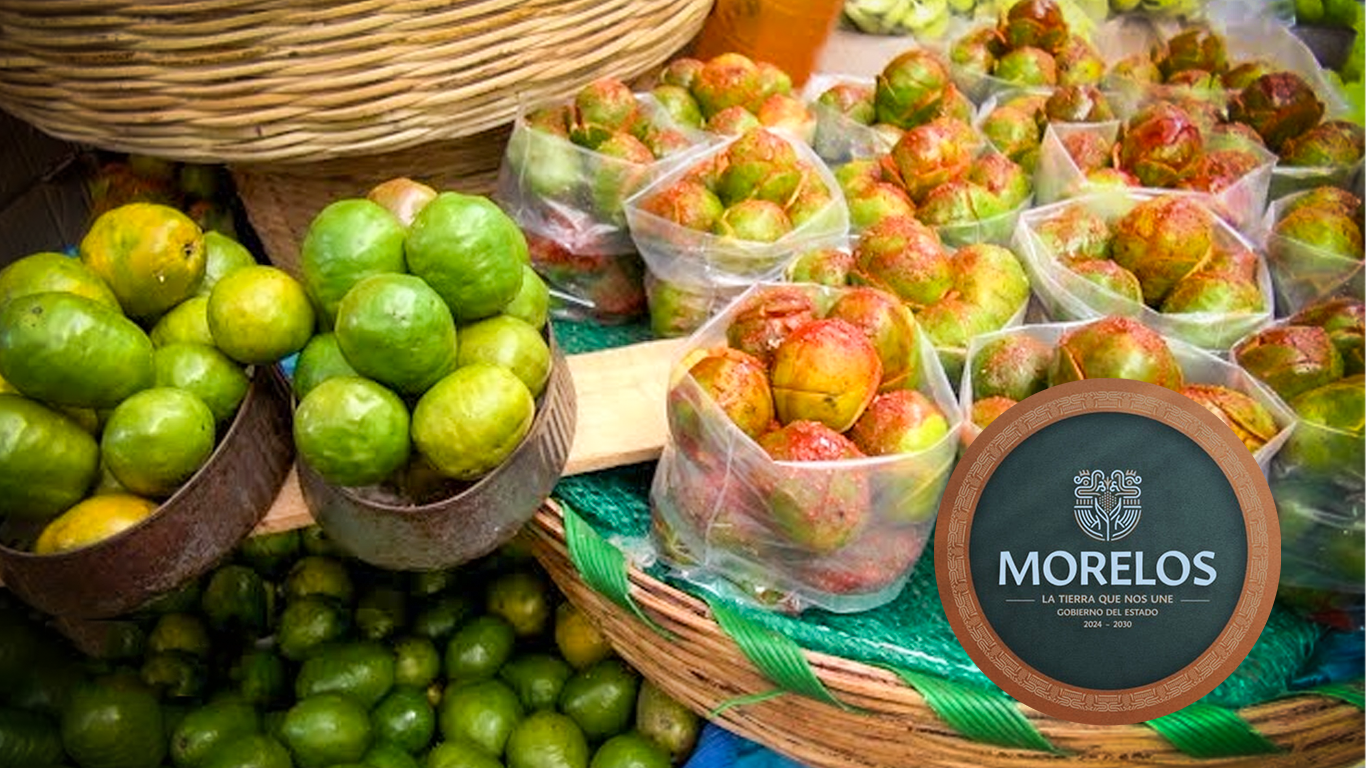 Morelos, estado clave en la producción de ciruela mexicana