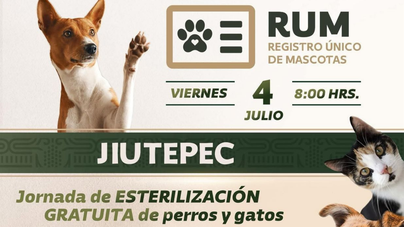 Invitan en Jiutepec a jornada gratuita de esterilización y registro de mascotas