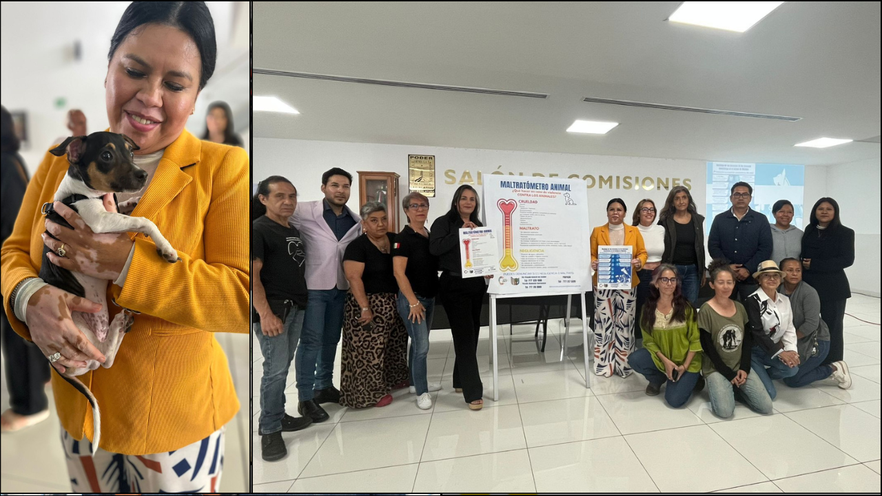 ¡Fiscalía ambiental deja huella! Animales domésticos tendrán respaldo en Cuernavaca