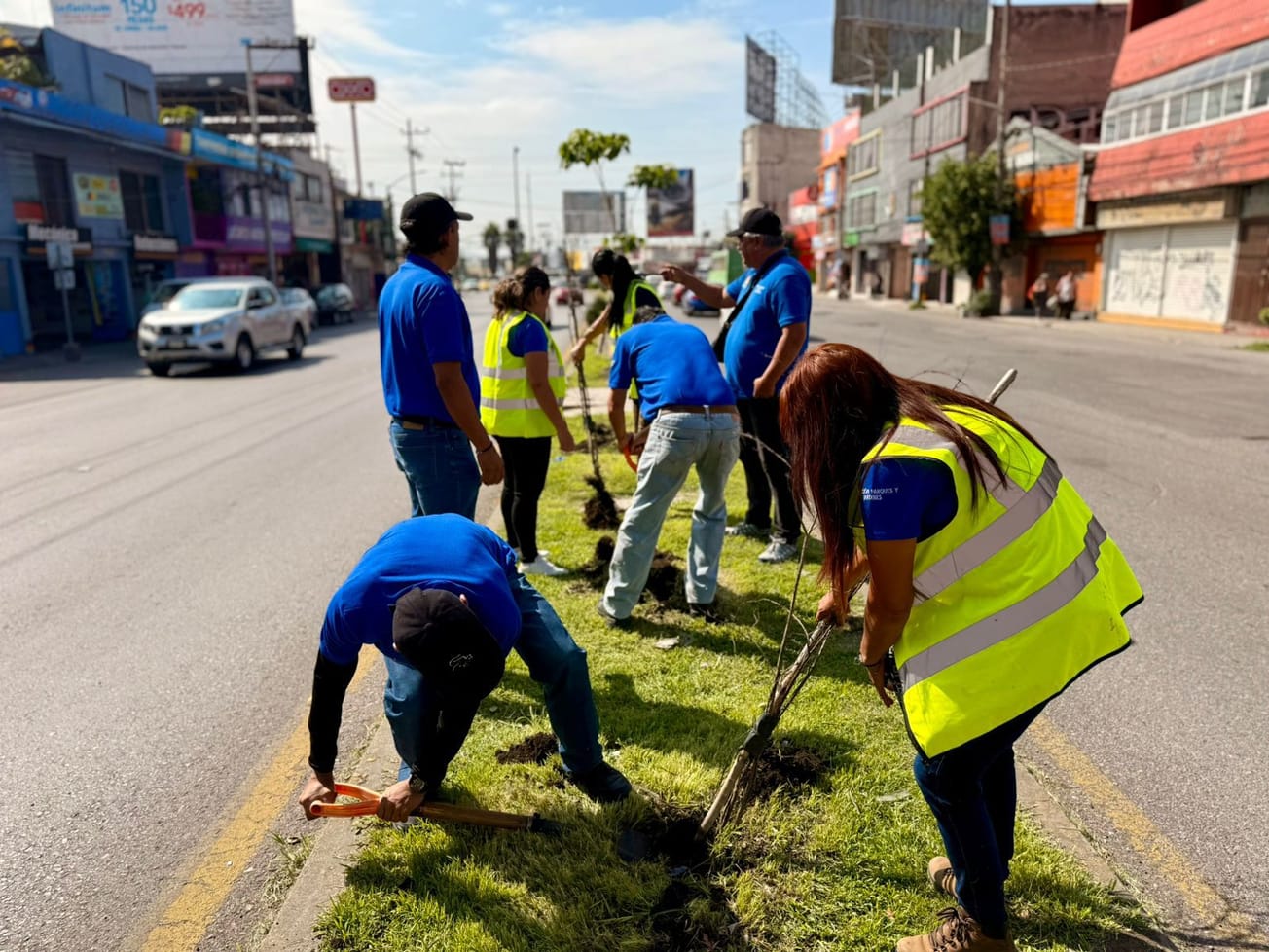 Reforestan Avenida Plan de Ayala