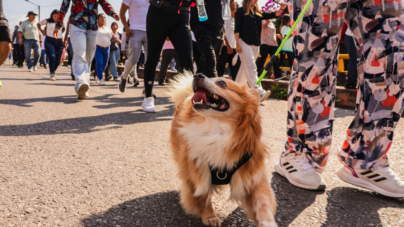 Caminata por la paz une a familias y autoridades en Cuernavaca