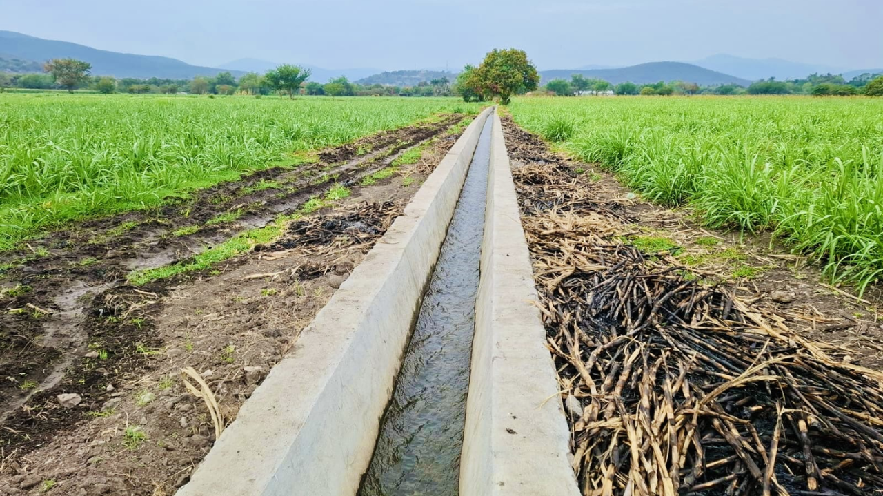 Avanza tecnificación del distrito de riego 016 en Morelos