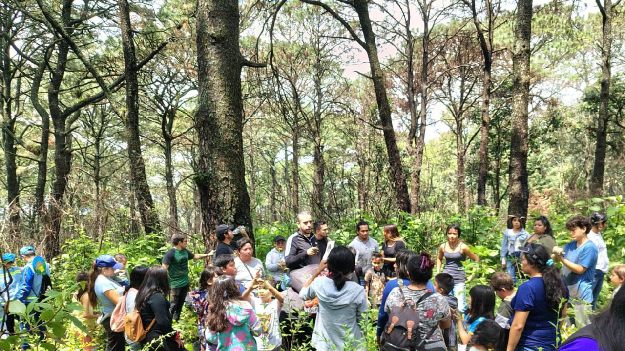 Reforestación en Ocotepec fortalece el compromiso ambiental de Cuernavaca