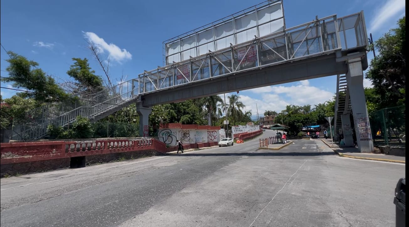 ¡Cuidado con las abejas! Protección Civil pide precaución al transitar por el Cri-Cri