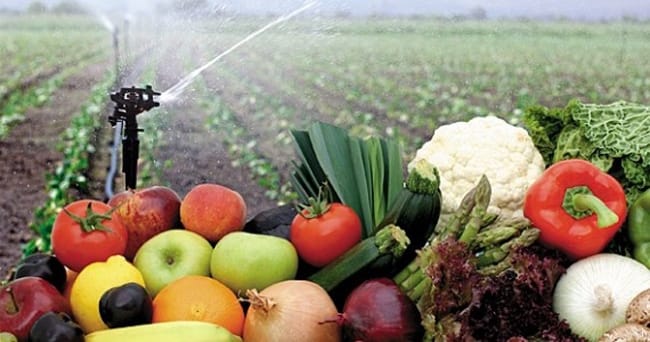 Buscarán vender productos morelenses en Alemania