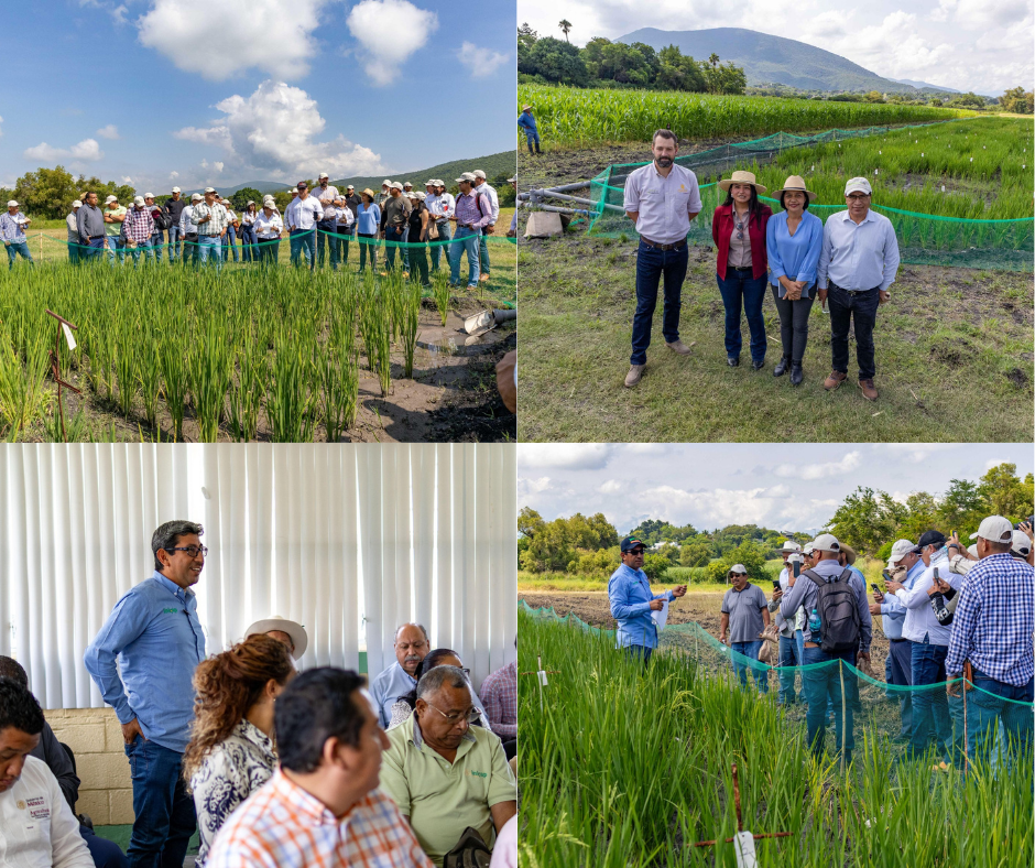 Gobierno de Morelos se suma al "Plan México para la Autosuficiencia Alimentaria"