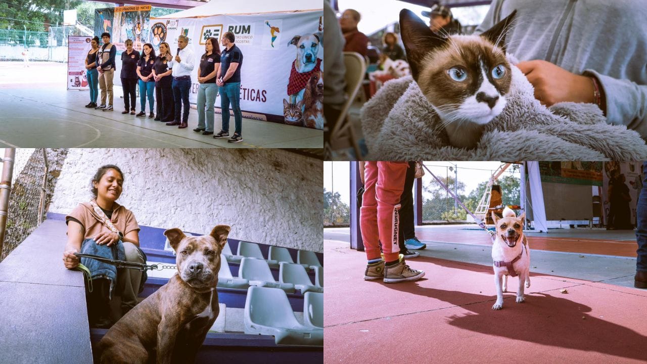 Cuernavaca participa en IV Jornada Latinoamericana de Esterilización Masiva