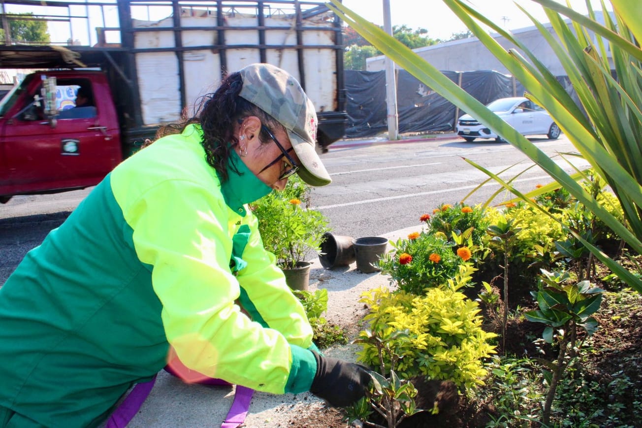 Cuernavaca se llena de color y tradición con flores del vivero municipal