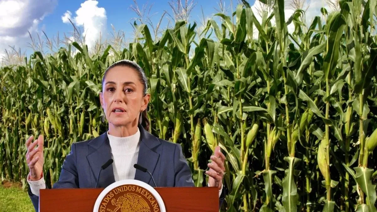 La Mañanera del Pueblo | Top 5 del 29 de octubre