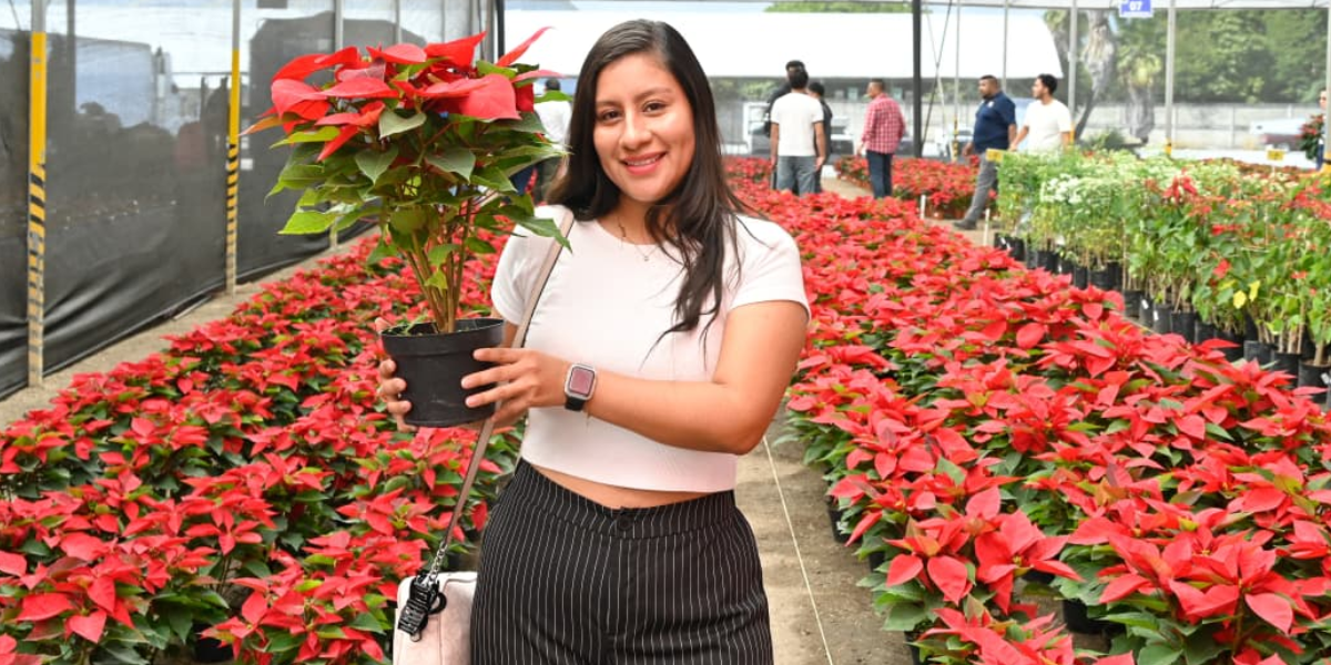 Inaugura Margarita González Saravia expo venta Noche Buena 2025