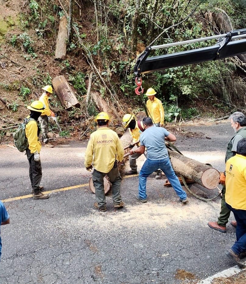 Concluye primera etapa interestatal de prevención de incendios en Lagunas de Zempoala