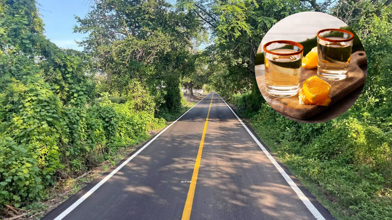 Nueva carretera favorecerá impulso al mezcal morelense